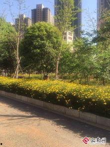 私家花园爆料视频,独家爆料带你领略隐秘奢华生活  第3张