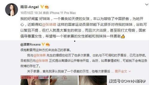 何小姐被爆料视频大全最新,揭秘网络爆料背后的真相与争议  第2张