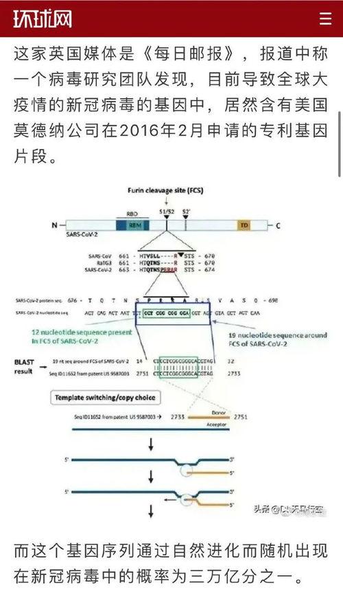 美国新病毒爆料视频最新,最新爆料视频曝光惊人真相  第1张