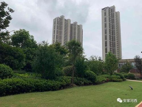 振业城业主爆料视频最新,真相触目惊心！  第2张