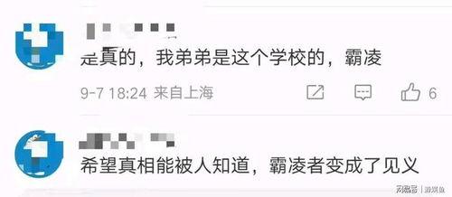 洛阳信息港爆料事件最新,揭秘背后真相与网络舆论风暴  第3张