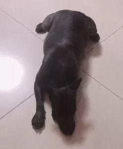 yy女主播相互爆料视频,相互爆料视频背后的真相 第1张 yy女主播相互爆料视频,相互爆料视频背后的真相 第1张